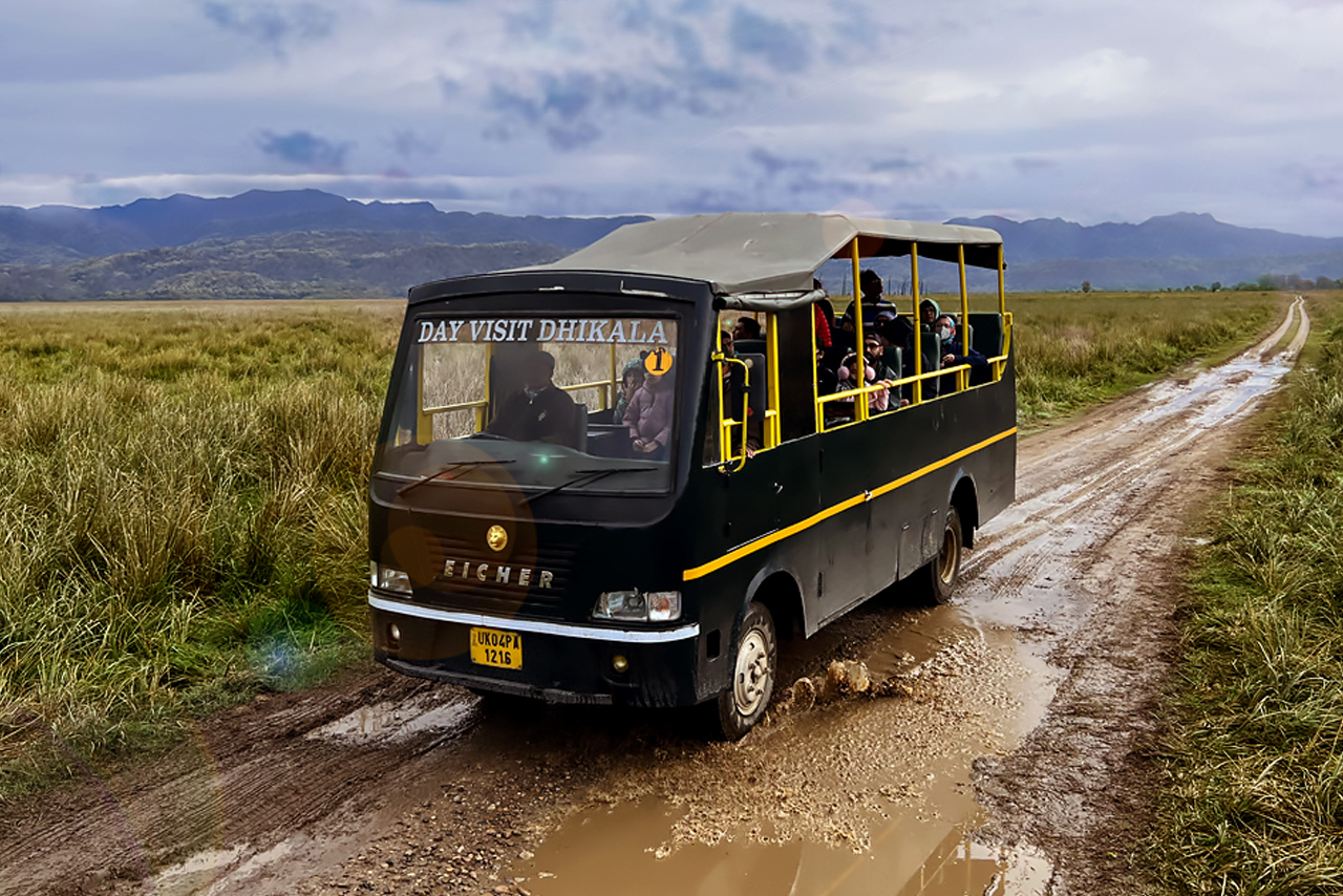 Canter Safari Jim Corbett